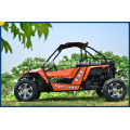 2015 New 800cc or 1500cc EFI 4*4 5MT Gears Buggy,Go kart,Dune Buggy